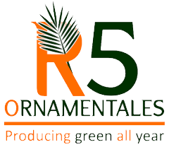 Plantas Ornamentales R5 Costa Rica